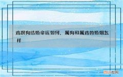 鸡跟狗结婚命运如何，属狗和属鸡的婚姻怎样