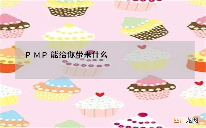 PMP能给你带来什么