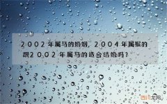 2002年属马的婚姻，2004年属猴的跟2002年属马的适合结婚吗？