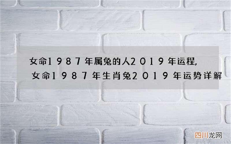 女命1987年属兔的人2019年运程,女命1987年生肖兔2019年运势详解