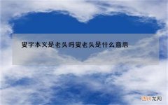 叟字本义是老头吗 叟老头是什么意思