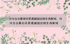 分分合合最终还是遗憾错过的生肖配对,分分合合最后还是遗憾错过的生肖配对