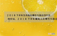 2018下半年生肖兔在哪些方面会挡不住的好运,2018下半年属兔人在哪些方面会挡不
