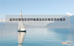 蓝色妖姬的花语和寓意 蓝色妖姬花语的意思