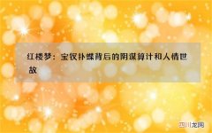 红楼梦：宝钗扑蝶背后的阴谋算计和人情世故