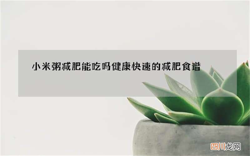 小米粥减肥能吃吗 健康快速的减肥食谱
