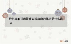 粉玫瑰的花语是什么 粉玫瑰的花语是什么意思