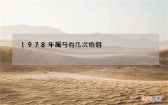 1978年属马有几次婚姻，78年属马的婚姻怎样？