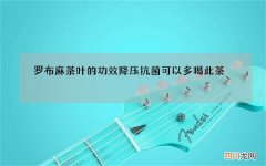 罗布麻茶叶的功效 降压抗菌可以多喝此茶