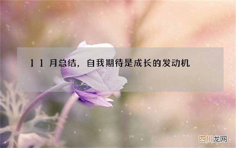 11月总结，自我期待是成长的发动机