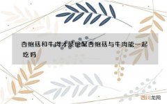 杏鲍菇和牛肉才是绝配 杏鲍菇与牛肉能一起吃吗