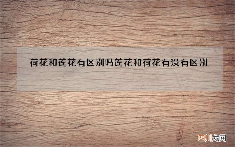 荷花和莲花有区别吗 莲花和荷花有没有区别