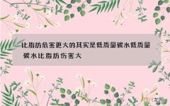 比脂肪危害更大的其实是低质量碳水 低质量碳水比脂肪伤害大
