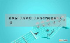 钓草鱼什么时候选什么饵 现在钓草鱼用什么饵