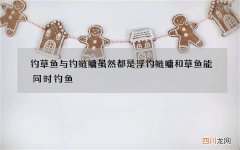 钓草鱼与钓鲢鳙虽然都是浮钓 鲢鳙和草鱼能同时钓鱼