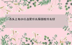 舌头上有小红点是什么原因 吃什么好
