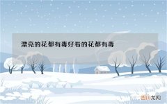 漂亮的花都有毒 好看的花都有毒