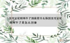 支付宝花呗用不了到底是什么原因 支付宝花呗用不了是怎么回事?