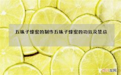 五味子蜂蜜的制作 五味子蜂蜜的功效及禁忌
