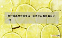勇敢追逐梦想的生肖,哪些生肖勇敢追逐梦想