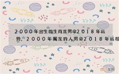 2000年出生的生肖龙男命2018年运势,2000年属龙的人男命2018年运程