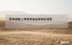 蔬果减肥 三种蔬果食谱帮助您减肥