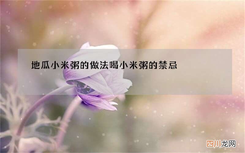 地瓜小米粥的做法 喝小米粥的禁忌