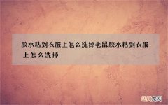 胶水粘到衣服上怎么洗掉 老鼠胶水粘到衣服上怎么洗掉