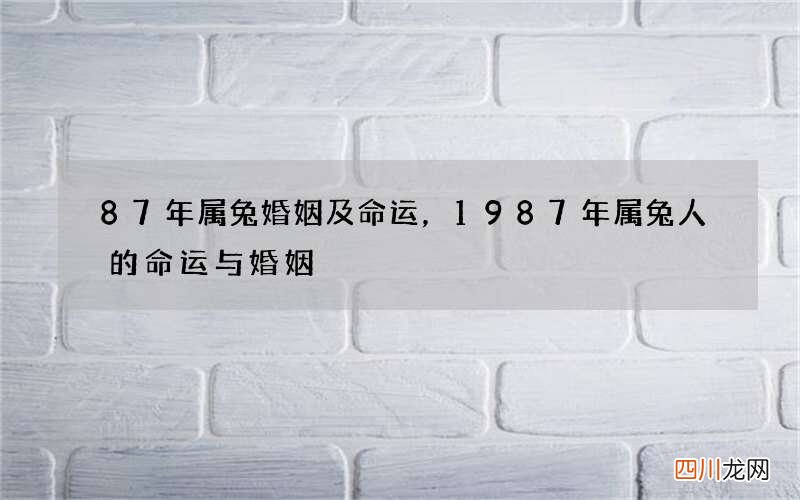 87年属兔婚姻及命运，1987年属兔人的命运与婚姻