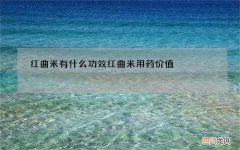 红曲米有什么功效 红曲米用药价值