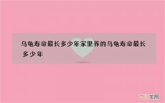 乌龟寿命最长多少年 家里养的乌龟寿命最长多少年
