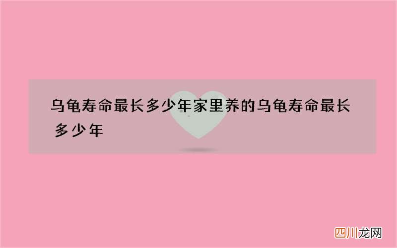 乌龟寿命最长多少年 家里养的乌龟寿命最长多少年
