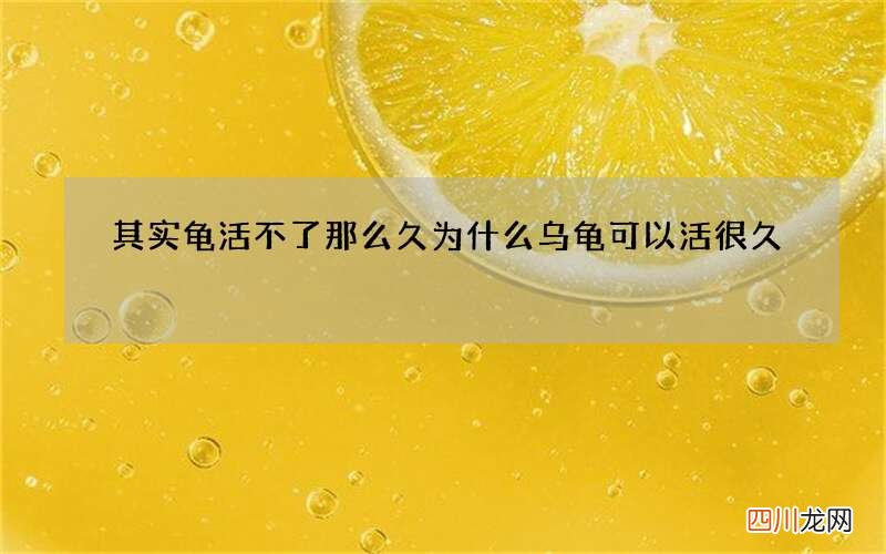 其实龟活不了那么久 为什么乌龟可以活很久