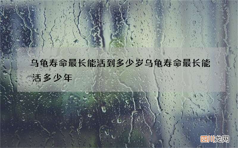 乌龟寿命最长能活到多少岁 乌龟寿命最长能活多少年