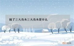 除了三大贡木 三大贡木是什么