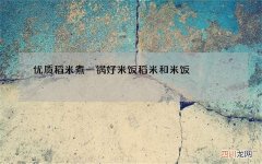 优质稻米煮一锅好米饭 稻米和米饭