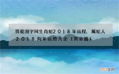 我爱测字网生肖蛇2018年运程,属蛇人2018狗年运势大全【男命篇】
