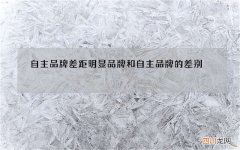 自主品牌差距明显 品牌和自主品牌的差别