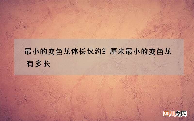最小的变色龙体长仅约3厘米 最小的变色龙有多长