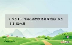 iOS15升级还真的支持分屏功能 iOS15能分屏
