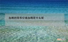 血桃的营养价值 血桃是什么呢