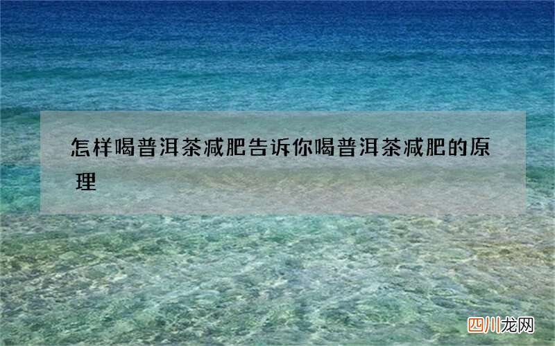 怎样喝普洱茶减肥 告诉你喝普洱茶减肥的原理