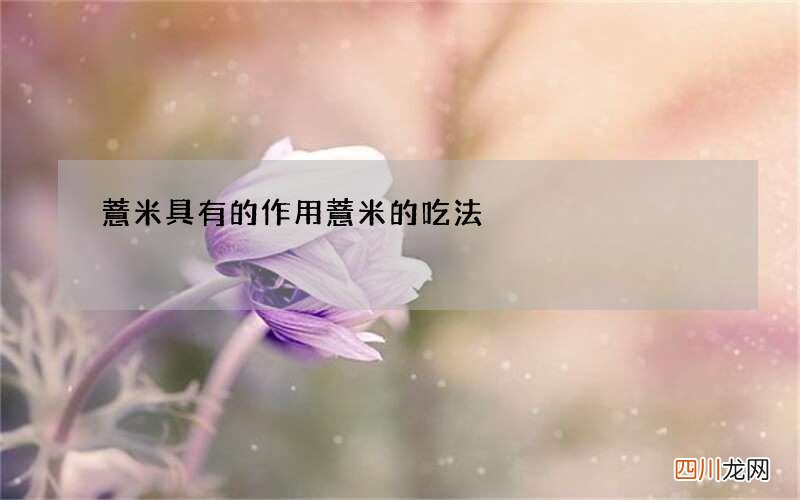 薏米具有的作用 薏米的吃法