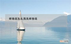 鲜香菇怎么清洗 鲜香菇 怎么洗