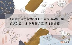 我爱测字网生肖蛇2018年每月运势,属蛇人2018狗年每月运程【男命篇】