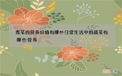 青菜的营养价值有哪些 日常生活中的蔬菜有哪些营养