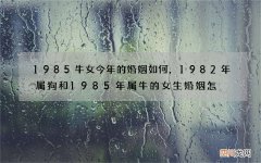 1985牛女今年的婚姻如何，1982年属狗和1985年属牛的女生婚姻怎