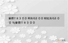 豪爵TR300和灰石300对比 灰石300与豪爵TR300
