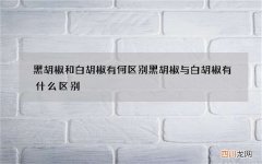 黑胡椒和白胡椒有何区别 黑胡椒与白胡椒有什么区别?