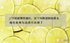 三只松鼠模特被扒，这个叫陈碧舸的美女，被化妆师与品牌方坑惨了